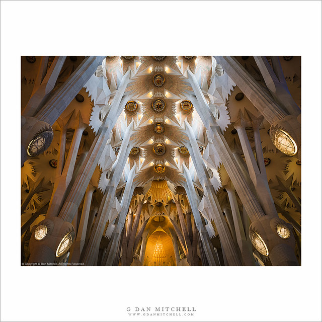 Columns and Ceiling, Sagrada Familia
