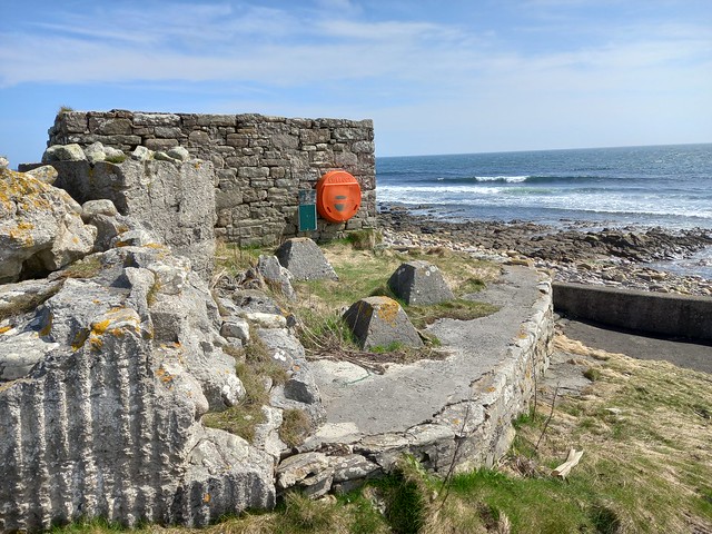 SKIRZA HARBOUR, FRESWICK BAY, CAITHNESS 30/4/2024