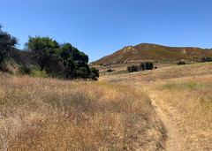 Reagan Ranch Trail