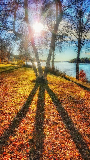 Shadows in the Nature