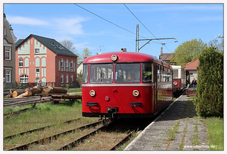 Buckower Kleinbahn - 2024-07
