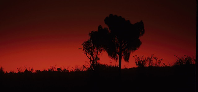 Sunset in the Australian Outback.   This intense color  was a result of an intense volcanic eruption in the Philippiness also a of a Volcanic eruption in the Philippines