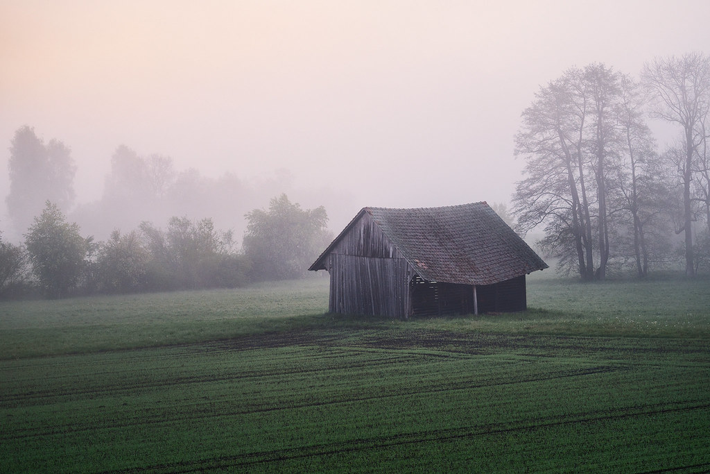Barn in the fog 1 - Biglen