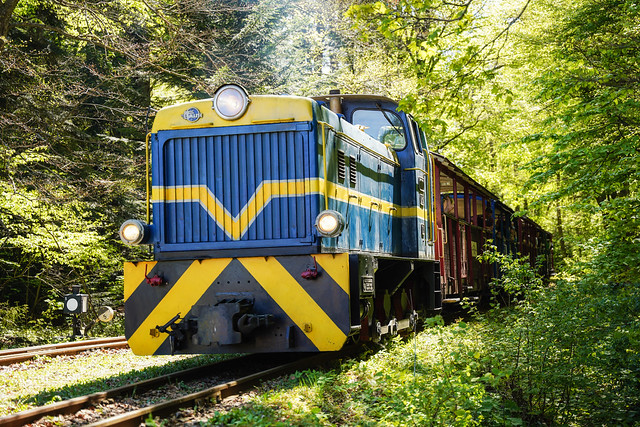 Bieszczady Forest Railway