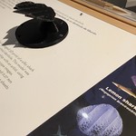 Adding 3-dimensions to text and illustrations Several of the label text panels at the Grand Rapids Public Museum&#039;s &amp;quot;Fashion + Nature&amp;quot; exhibit include all black 3-D &amp;quot;printout&amp;quot; elements like this close-up, magnified view of sharkskin. For visually impaired visitors, this allows a tactile &amp;quot;view&amp;quot; of the subject. And for sighted visitors, as well, this offers an additional way to know the subject of the text, images, and what is in the display case.

See also, &lt;a href=&quot;https://www.grpm.org/fashion-and-nature/&quot; rel=&quot;noreferrer nofollow&quot;&gt;www.grpm.org/fashion-and-nature/&lt;/a&gt;

Press L for lightbox (large) view; click the image or press Z for full image display. 

Hover the mouse pointer over the image for pop-up remarks.