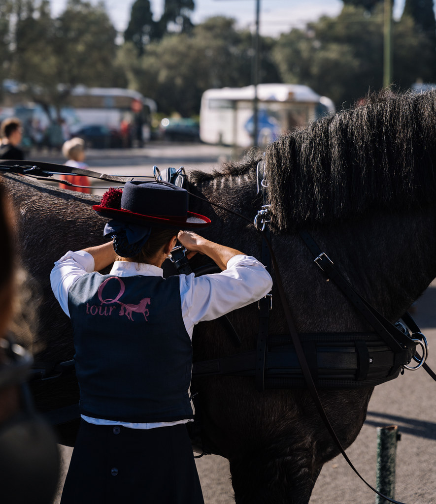 Lisbon horse tours