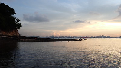Living shores of Pulau Jong, May 2024