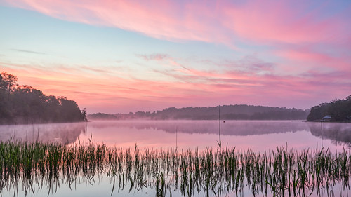 Pastel and Misty Sunrise by THE NUTTY PHOTOGRAPHER, Another early morning shot from my visit with my brother Graham.
Taken at Frensham Great Pond,Farnha