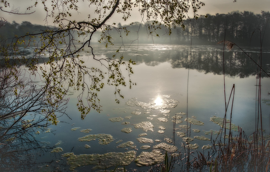 Morning light on the lake.