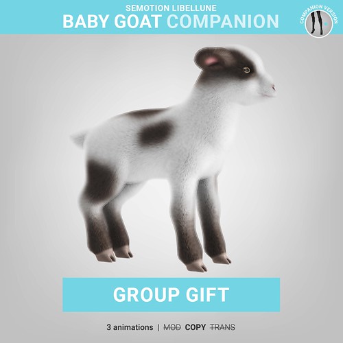 [ GROUP GIFT ] SEmotion Libellune Baby Goat Companion