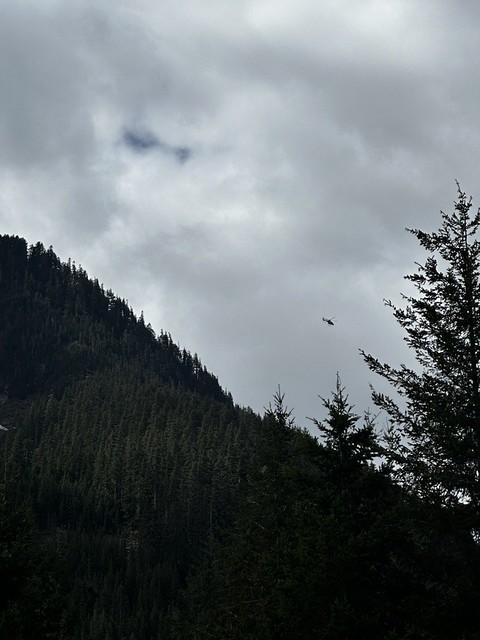 A view of aerial search efforts for missing plane and pilot