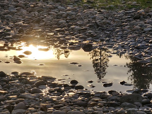 Golden Reflections by NursieYeargan, Fun with sunset and puddles!sunset puddle reflection mirroring trees evergreens abstract