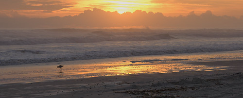 A Sandpiper Sunrise walk. by Samuel Santiago, <b>Explored May 30, 2024</b>
<b>Old Digital Camera:</b> Canon 5D mkII (2008) with a Nikon adapter: