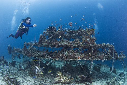 Copyright Bastianos Dive Resorts