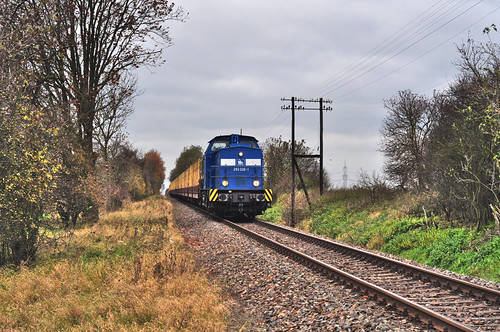 2010.11.03: 293 026-1 between Rehfelde and Rotes Luch on the Prussian Ostbahn bringing empty wood to Muencheberg | by Ostbahn1