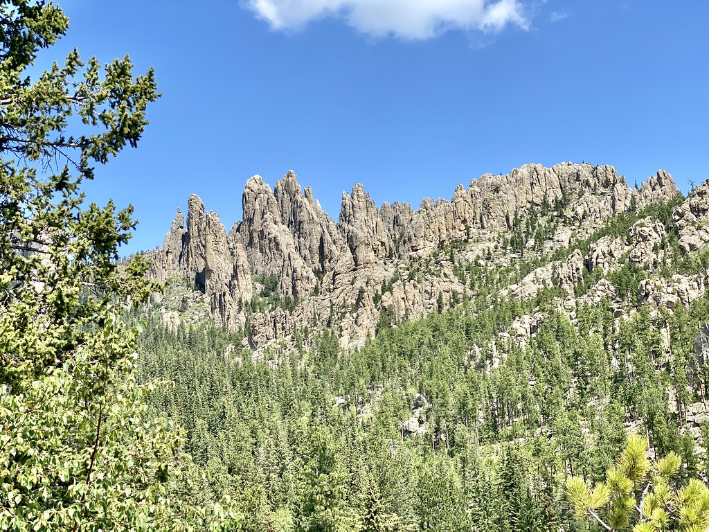 Custer State Park