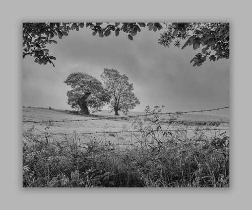 Untitled | by MickH5 (2)