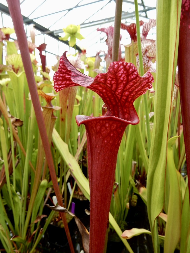 02/07/2024