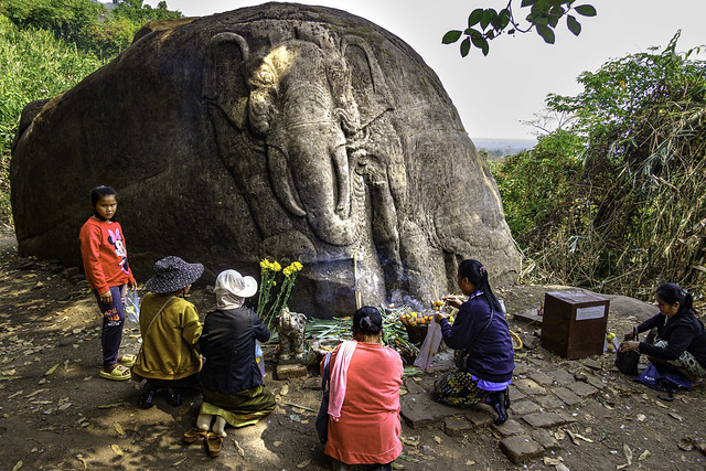 Elephant Stone