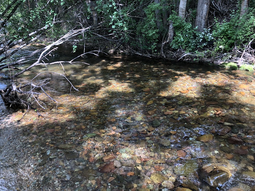 Red Tail Trail