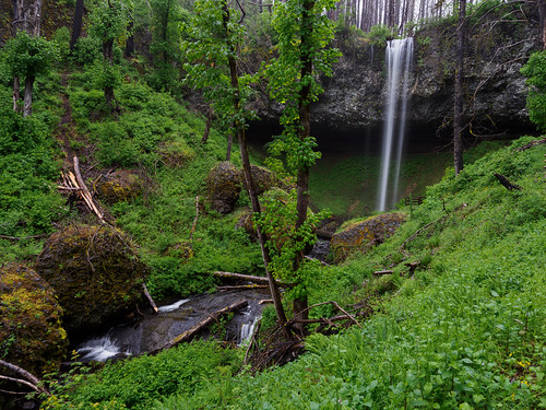 Shellburg Falls in the rain | by briangeerlings