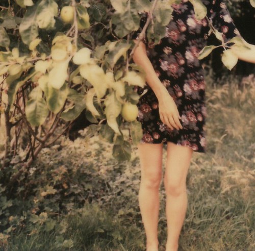 Untitled | by sara.robin