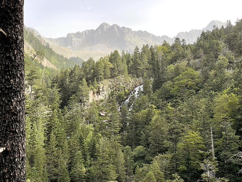 Vacances23_2310047, iphone365 iphone12promax españa benasque huesca aragón laribagorza nature natura naturaleza plandeturpí paisaje landscape paisatge arbol arbre tree waterfall cascada
