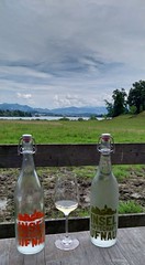 17.06.2024 Ausflug