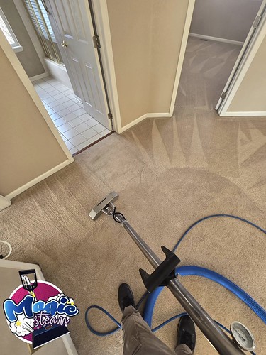 Precise Carpet Cleaning in Castle Rock CO | by magicsteamcarpetcleaningco