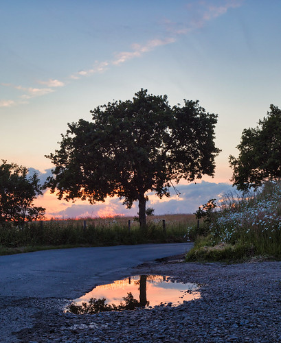 Sunsetting reflections by THE NUTTY PHOTOGRAPHER, Brother Graham pointed this out whilst visiting here the other evening.
Another shot from Hartley Ma