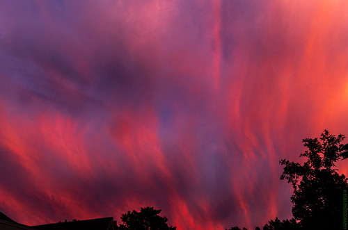 Fiery Evening Sky by radiorocky, Seen in Pine Hill, in New York State's Catskill Mountains, Summer, 2016.nys trees summer sunset cats