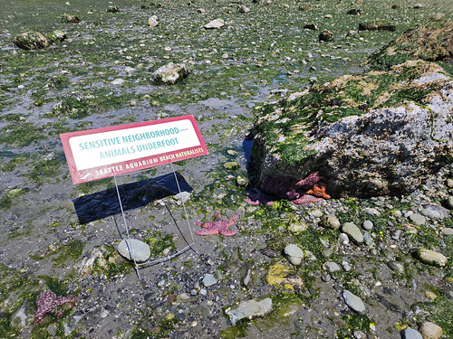 2024-06-23 12.25.55