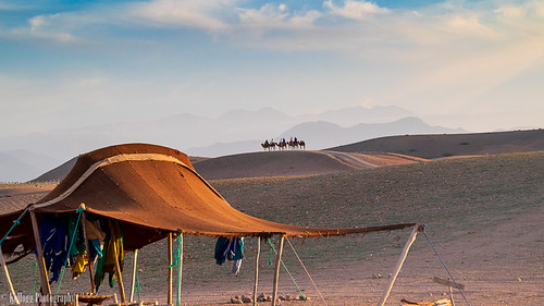 Riding from Camp by KelloggPhotography, The line of camels struck out in the desert, leaving behind the Berber camp behind as they headed to