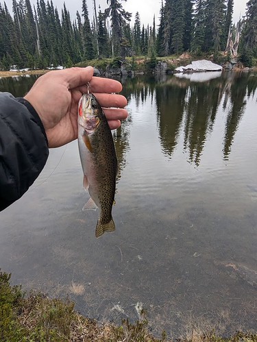 High lake