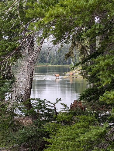 High lake