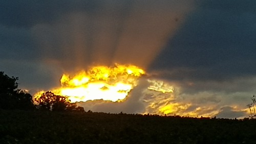 Sunset over Broxwood by Mieke Berkelaar2009, 