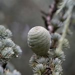 Picture of the hike