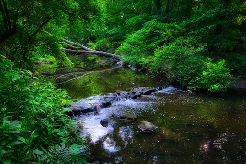 Fallen | by JMS2