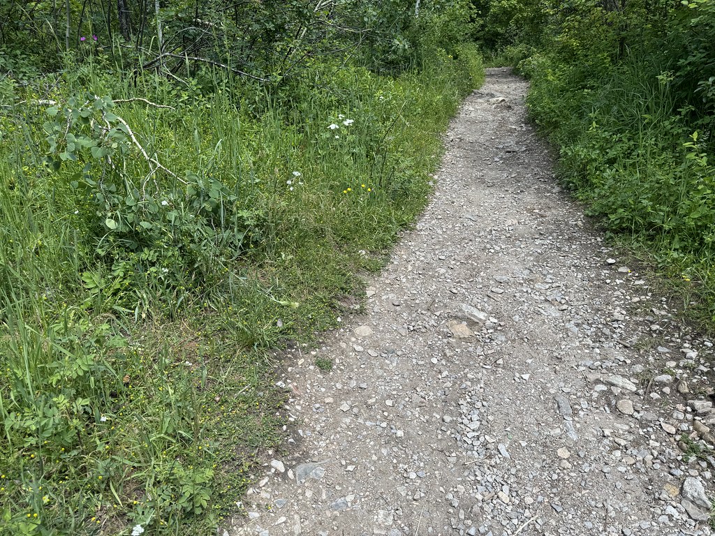 Middle Cottonwood Trail