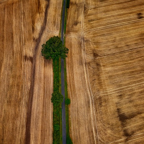Sommerfeld by ThomaS E.S., in Schleswig-Holsteindji mavic drohne landschaft landscape sonnenaufgang sonnenschein sonne stimmung