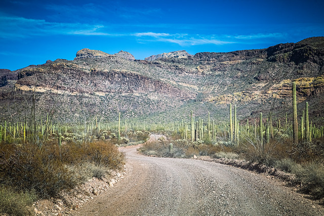 Desert Drive - (Explored)
