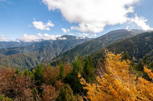 A touch of changing leaves in the high mountains