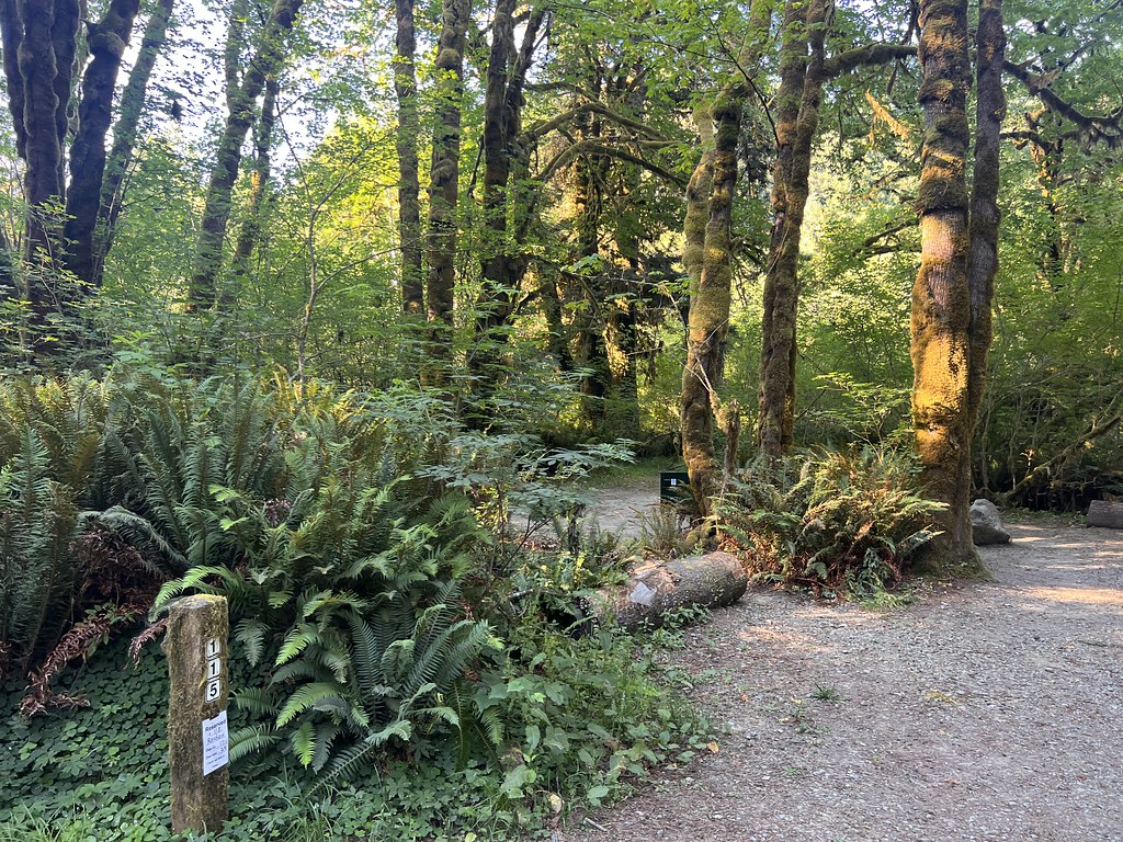 Nature Loop Trail