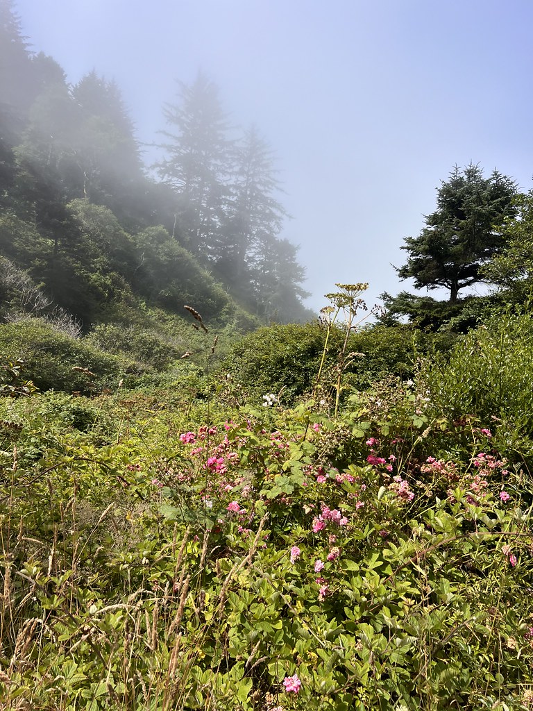 Nickel Creek Trail