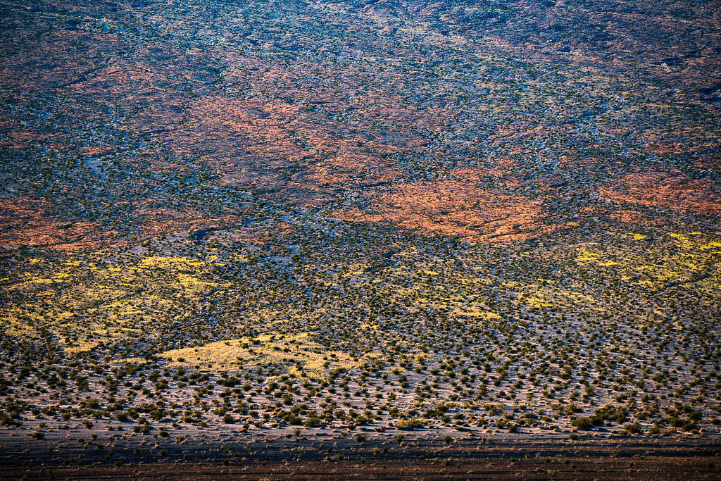 Alluvial Color Swatches | This last year has been an interes… | Flickr