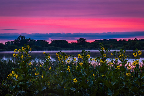 Flowers, Fog and Colors by AChucksEyeView, Got all three in this sunrise photo from this morning. It was awesome to see and am so glad I can sh