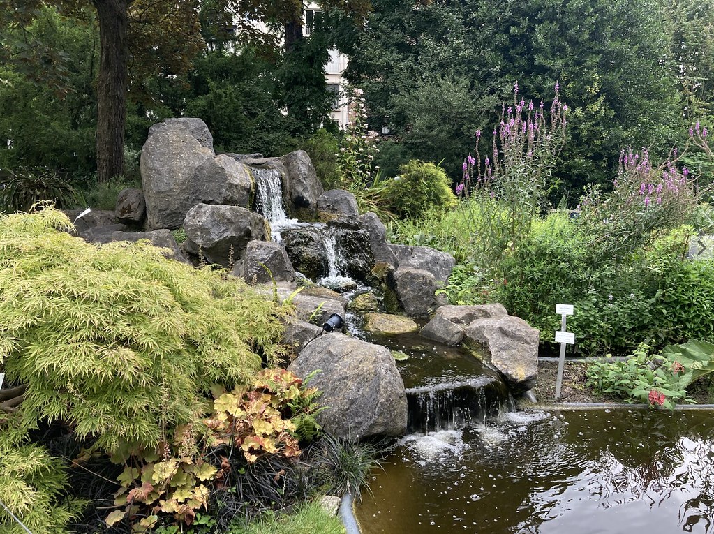 El Jardín botánico de Amberes Estanque en el Jardín Botánico de Amberes