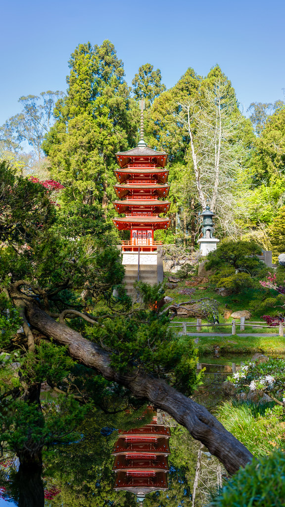 Japanese Tea Garden