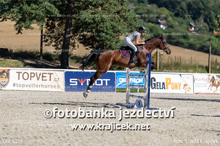 339_6236
