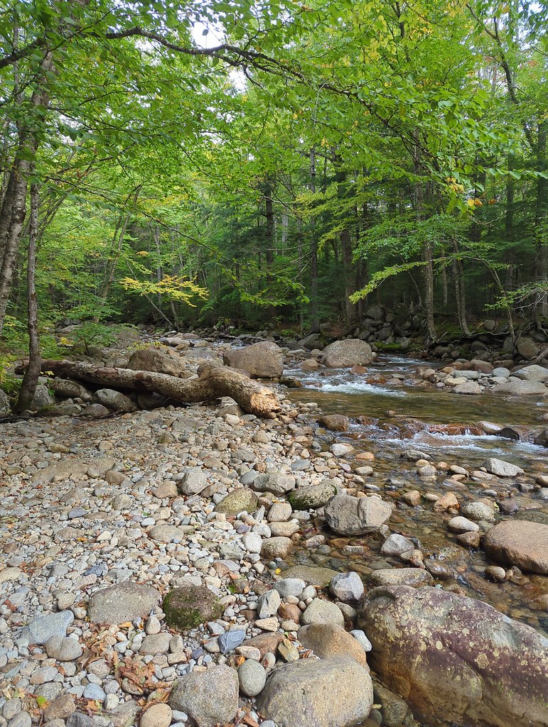 Lincoln Brook